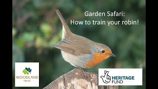 Garden Safari: How to train your robin