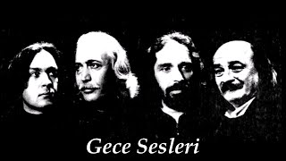 Boyalı Kuş - Gece Sesleri (Moğollar Cover) Resimi