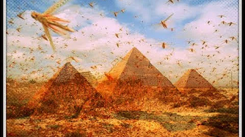 Plagues of Egypt are Here