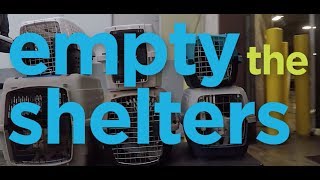 Empty The Shelters-10.14.17