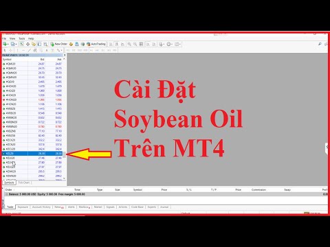 Hướng dẫn cài đặt mã Soybean Oil - Dầu đậu tương trên MT4