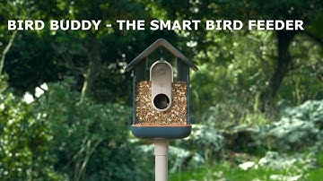 Bird Buddy - the smart bird feeder with a built-in camera