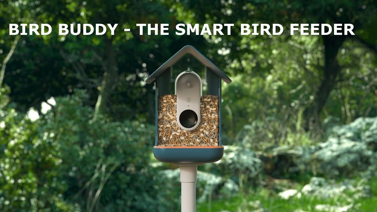 Bird Buddy Smart Bird Feeder review: A camera that's not just for