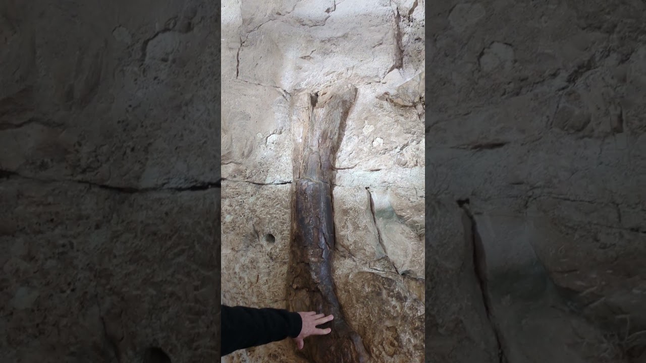 Incredible Dinosaur Graveyard - On-site at the Dinosaur National Monument in Utah