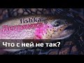 Платник Петряиха. Пыль в глаза. Ловим Форель на 1Га. 7 апреля 2024 Live