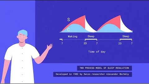 What makes us want to sleep? The two-process model of sleep regulation (Process C and Process S).
