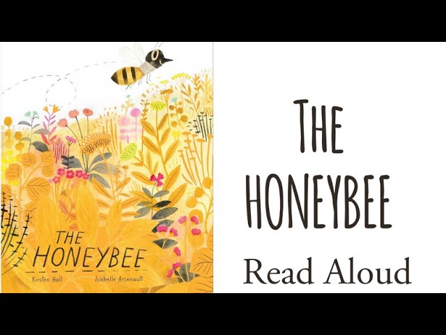 Bee: A Peek-Through Board Book (Board book)