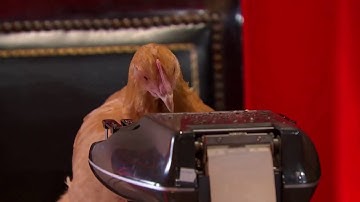 Vance v. Ball State University: Oral Argument - November 26, 2012