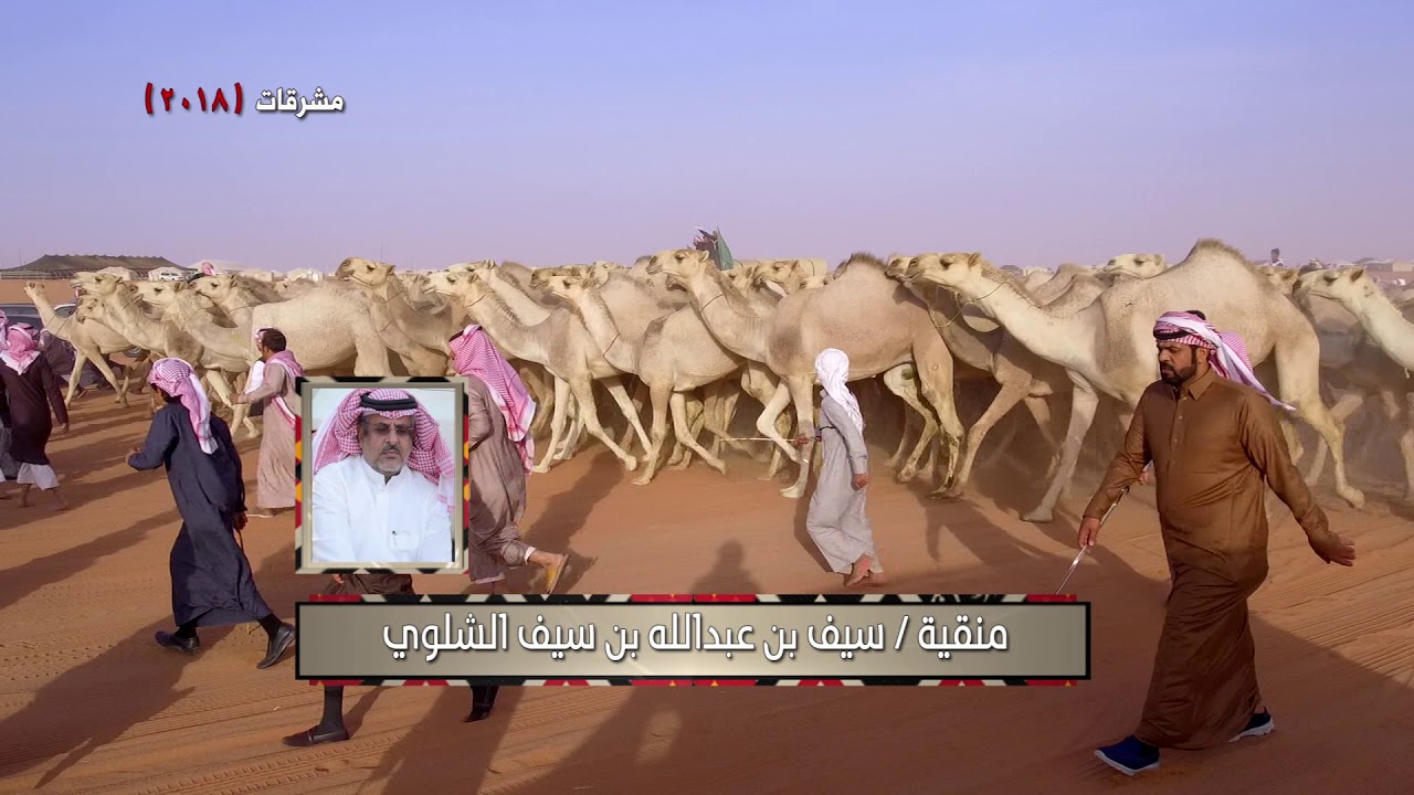 منقية سيف بن عبدالله بن سيف الشلوي