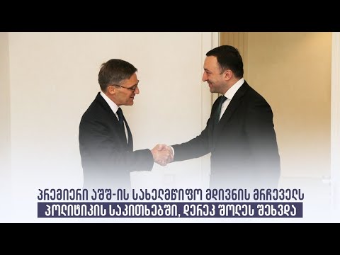 პრემიერი აშშ-ის სახელმწიფო მდივნის მრჩეველს პოლიტიკის საკითხებში, დერეკ შოლეს შეხვდა