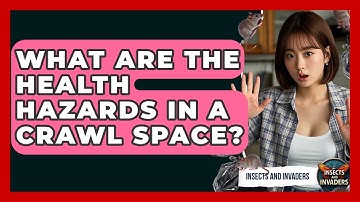 What Are The Health Hazards In A Crawl Space? - Insects and Invaders