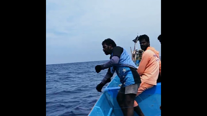 சுறா வகையில் இது ஒரு வகை சுறா மீன் பெயர் வாளன் சுறா