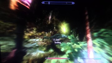 Skyrim Glitch: Epic Slow Time