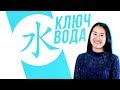 Ключевые иероглифы #1: 水 (вода) 💧 УЧУ КИТАЙСКИЙ ЯЗЫК ✌ Школа Динары Мин ✌