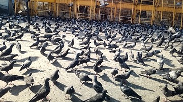 Redmi Note 9 Pro 960fps Slow Motion Video - Xiaomi Slowmo 108Mp