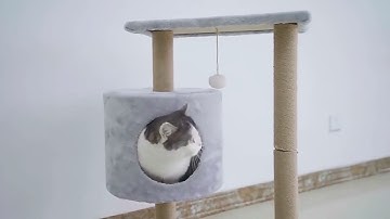 Indoor Cat Tree Cat Tower Multi Level Cat Scratching Post with Condos, Hammock & Plush Perches for K