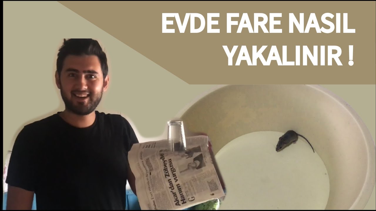 evde fare nasil yakalanir youtube