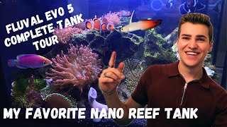 FLUVAL EVO 5 GALLON REEF TANK *FULL TANK TOUR* (My Favorite AIO Nano Saltwater Aquarium)