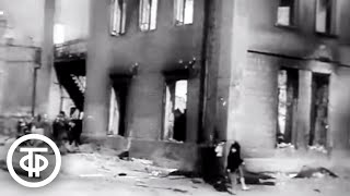 Разгром под Сталинградом. Кинохроника боевых действий (1973)