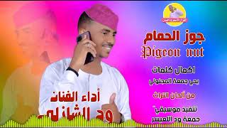 جوز الحمام || الفنان ود الشازلي || NEW 2023 || #الغزال_الاسمر_ودحسان