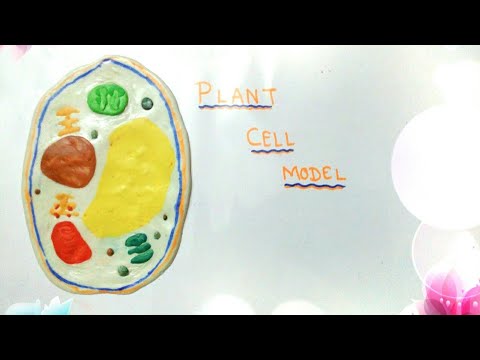 과학 학교 프로젝트를 위해 점액과 점토로 식물 세포 모델을 만드는 방법