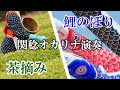 茶摘み・鯉のぼり（関稔オカリナ演奏）