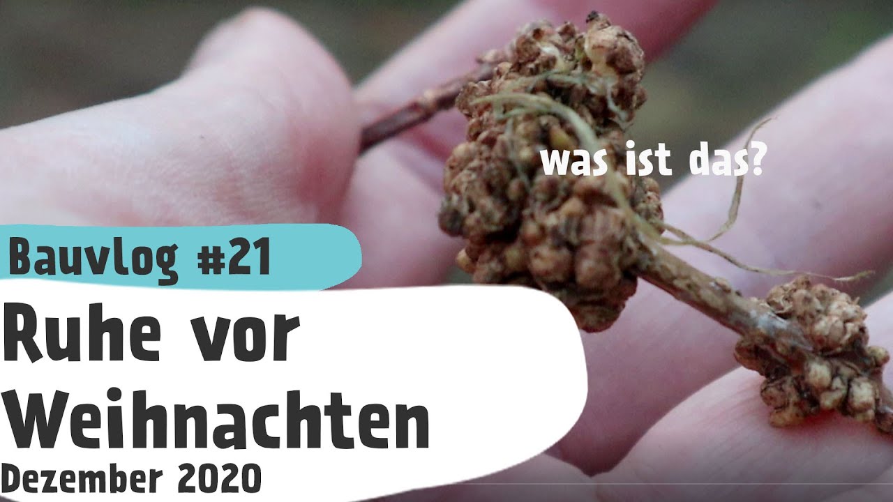 Baulvlog 21 Ruhe vor Weihnachten Dezember 2020 YouTube