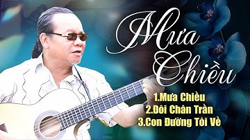 CÀNG NGHE CÀNG NGHIỆN Với Giọng Ca Đặc Biệt Hay Của Toàn Nguyễn | Mưa Chiều, Đôi Chân Trần...