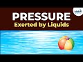 The Impact of Force and Area on Pressure in Everyday Life