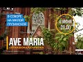 Ave Maria. Орган, вокал, скрипка – Концерт в Соборе на Малой Грузинской 8 июня 2022 года