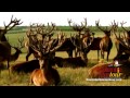 Rolling Hills Red Deer Farm