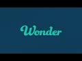 Wonder Logo Animation