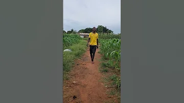 2025 Shortvideo Viralvideo Trending 