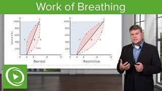 Work of Breathing: Breathing and Lung Mechanics - Physiology | Lecturio