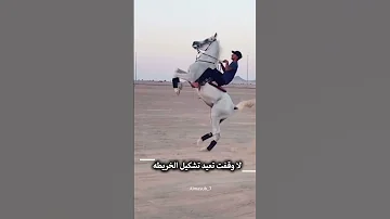 يا عضيدي فالحياة و راس مالي قصائد شعر اقنباسات ذواقه شيلات الشعرالشعبي خواطر تيك توك اكسبلور 