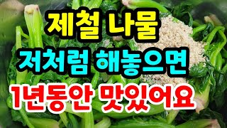 1년내내 시금치 맛있게 먹는방법 / 월동시금치보관방법 / 시금치재배방법