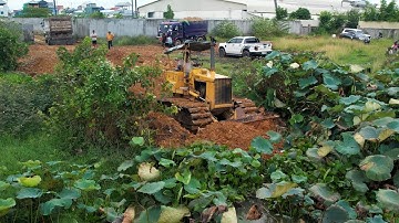 Amazing New Project!! Landfill Using Dump Truck 5Ton UNLOADING with Skill Dozer Push Soil