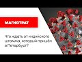 Магистрат /  Что ждать от индийского штамма, который пришёл в Петербург? // 17.06.21