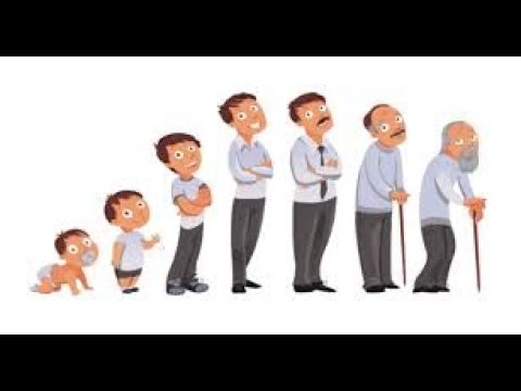 دوره حياه الانسان بالانجليزي The human’s life cycle - YouTube