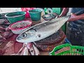 AMAZING FISH CUTTING SKILLS || ACEHNESE STREET FOOD || MILKFISH FILLET & CUTTING