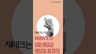 25년 5월 NVDY 배당일, 배당락일, 배당금 정보 총정리!