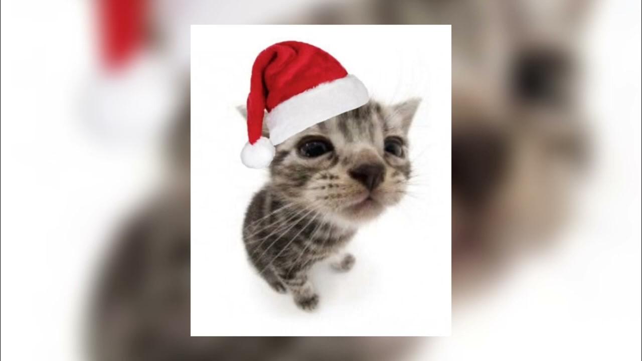 laufey - christmas dreaming !! / sped up ! laufey - christmas dreaming !! / sped up !
