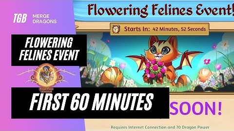 Merge Dragons Flowering Felines Event First 60 Minutes ☆☆☆