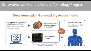 ScitoVation 21st Century Genotoxicity Program