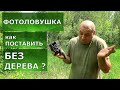 Фотоловушка. Как поставить без дерева? Легко!