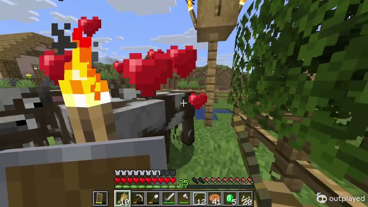 Minecraft Episode 22