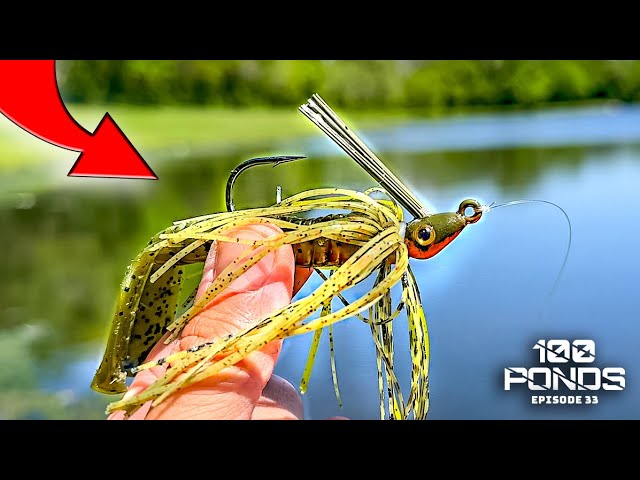 Why Are FISHING HOOKS So CONFUSING?! (Bass Fishing Hooks MASTER CLASS) 