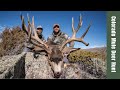 Colorado Mule Deer Hunt With Justin Sparks & Kryptek CEO Butch Whiting