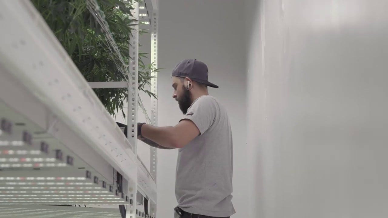 Urban Wellness’ Vertical Grow