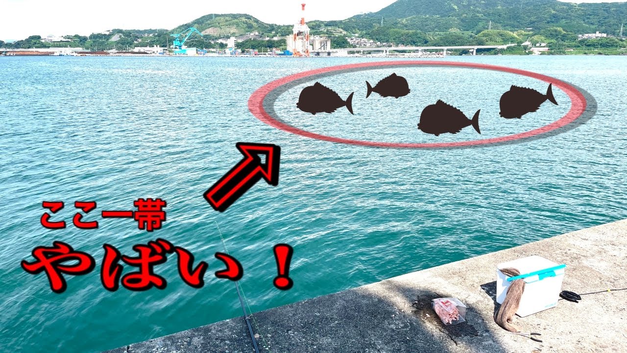 ライトカゴ釣り行ったらそこはチャリコの巣だった